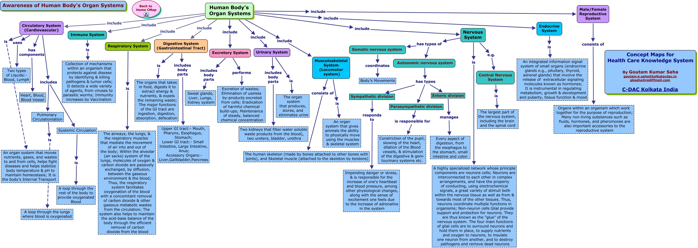 Human Body Organ System - What do you know about Human Body Organ System?